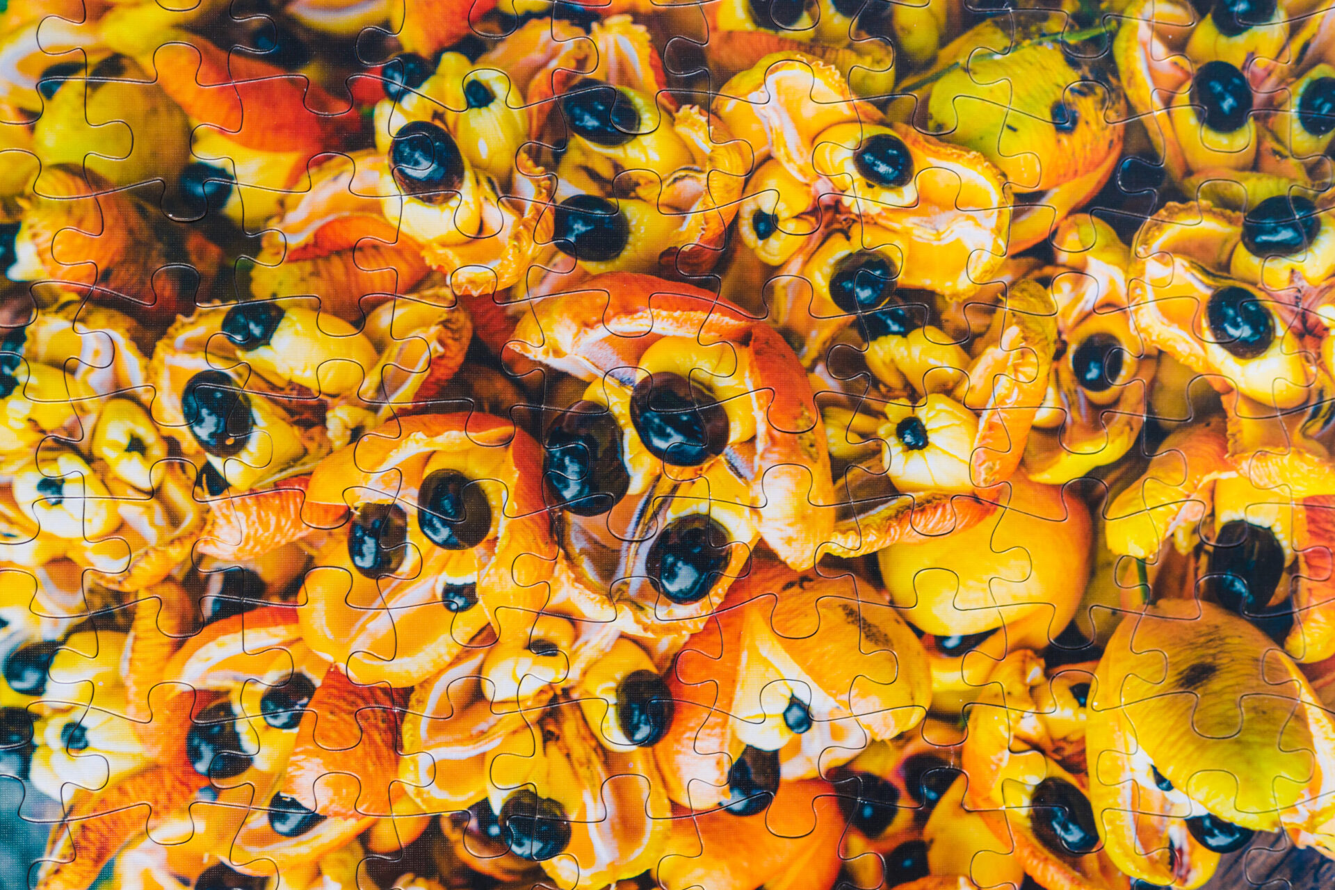 Piecing Together Jamaica’s Culinary Treasures with Hellshire Fish and Ackee Stack