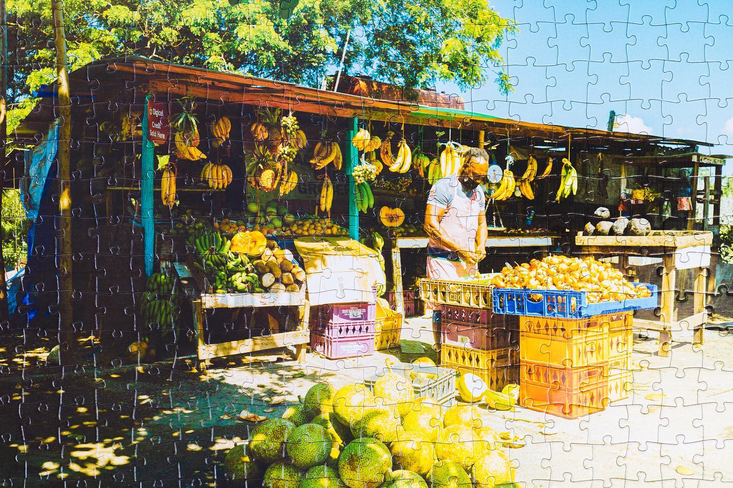From Fruit Stands to Fishing Villages: Capturing Everyday Jamaica in Puzzles